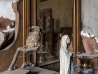 Non si può fermare il Tempo Non si può fermare il Tempo