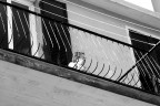 Sul Balcone Sul Balcone