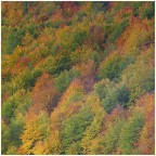 quadrato d'ottobre