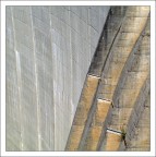 quando si dice che l'erba cresce dappertutto...