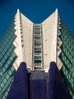Calatrava Madness Calatrava Madness