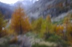 Autunno Autunno