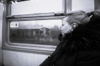 Trans Europ Express Trans Europ Express