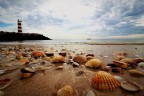 Shell Shell