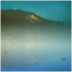 Micro pescatori nella nebbia