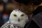 Il bacio ... Il bacio ...