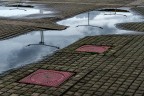 urban #185