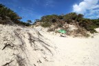 Tra le dune Tra le dune