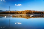 Filo di fog Filo di fog