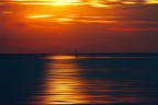 Solitaria nel rosso