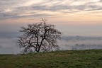 Dalla collina Dalla collina