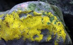 United Colors of Nature United Colors of Nature