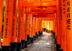 Forse il posto simbolo per le foto a Kyoto, � un Santuario shintoista situato nella periferia della citt�. La caratteristica principale � ovviamente la presenza dei Torii, ognuno dei quali � stato donato da una societ� giapponese.

Come sempre, critiche e commenti sono ben accetti.

Canon ESO R7 | EF24-105 | 24 mm | 1/25 sec. | f/7,1 | ISO 800 | AV