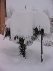 Nevicata del 26/27gennaio 2006