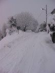 Nevicata del 26/27gennaio 2006