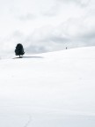 Solitudine Solitudine