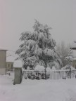 Nevicata del 26/27gennaio 2006