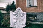 residui di carnevale ...??? residui di carnevale ...???