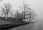 Nella nebbia 2