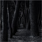 Trovandomi a Pineto (TE) ho voluto provare a ispirarmi a Michael Kenna, naturalmente a modo mio. Potete andare a vedere la sua e ovviamente dirmi cosa ne pensate. Grazie per chi vorr lasciare un commento o semplicemente fare un passaggio perch incuriosito