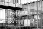 urban #202 urban #202