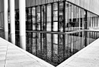 Di nuovo...riflessi