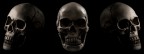 A skull triptych. A skull triptych.