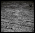 Noi siamo come farfalle che battono le ali per un giorno pensando che sia l'eternit

Carl Sagan