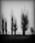 Onirica visione