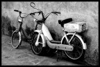 Bikes Bikes