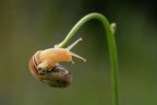 Macro_22Giu2025_C Macro_22Giu2025_C