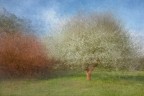 Colori di primavera Colori di primavera