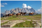 Sfilata davanti alle Pale Sfilata davanti alle Pale