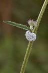 Macro_13072025_1 Macro_13072025_1