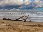 Il mare di marzo Il mare di marzo