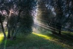 raggio di luce raggio di luce