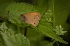 Macro_Mag2025a