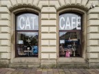 CAT CAFE CAT CAFE
