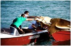 ... aggressione respinta ... aggressione respinta