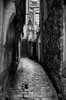 Rue