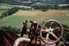 fattoria fattoria