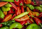 peperoni peperoni