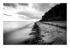 Mersea Island, UK (2025) Mersea Island, UK (2025)