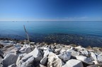 sea sea