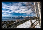 MG_6352 MG_6352