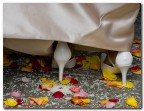 just married just married