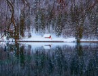 Fusine d'inverno Fusine d'inverno
