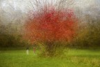 Autumn impression Autumn impression