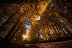 Foliage_Autunno_Ott2025_8 Foliage_Autunno_Ott2025_8