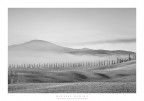 il Monte Amiata il Monte Amiata